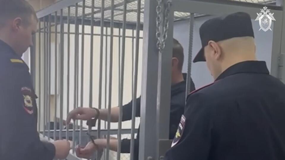 Арестован натравивший ротвейлера на девочку житель Иркутской области