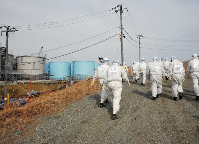 В СПбГУ допустили радиоактивное загрязнение курильской акватории отходами Фукусимы