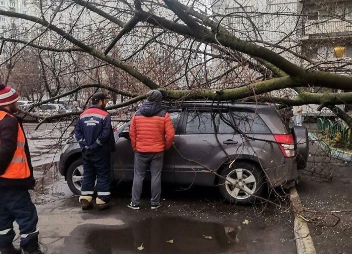 Синоптик Тишковец предупредил о девятибалльном шторме в Центральной России